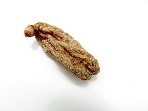 野生天麻特寫