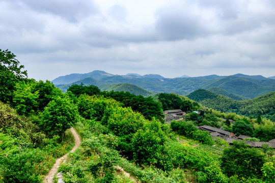 寧波山村 樹林村莊