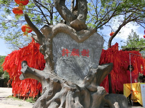 八大處許愿樹