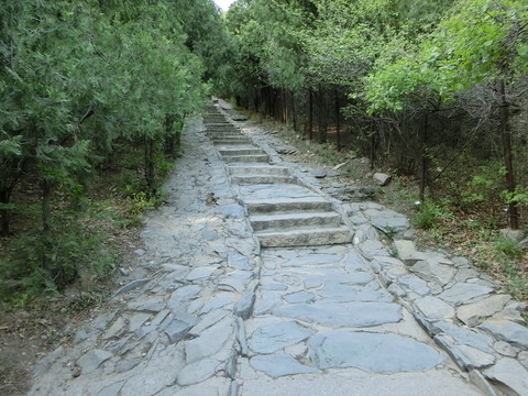 登山道 登山路 青石臺(tái)階