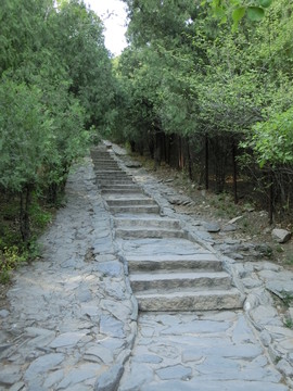 登山道 登山路 青石臺階