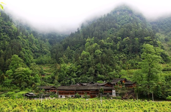 重慶 黔江 十三寨 女兒谷