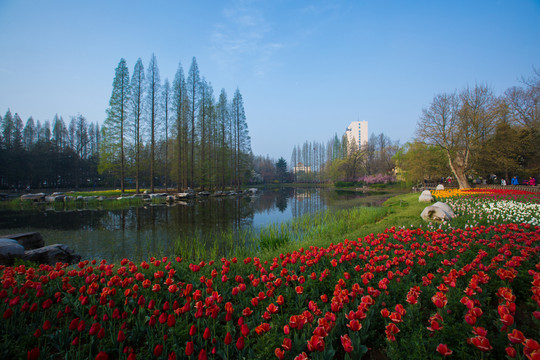 公園圖片