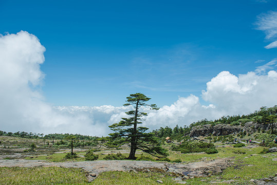 山川風(fēng)光