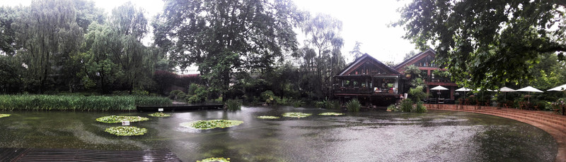 靜安公園池塘