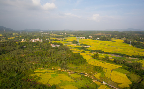 稻田 山村秋色 田園風(fēng)光