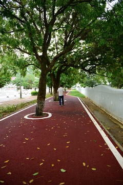 綠道 自行車道