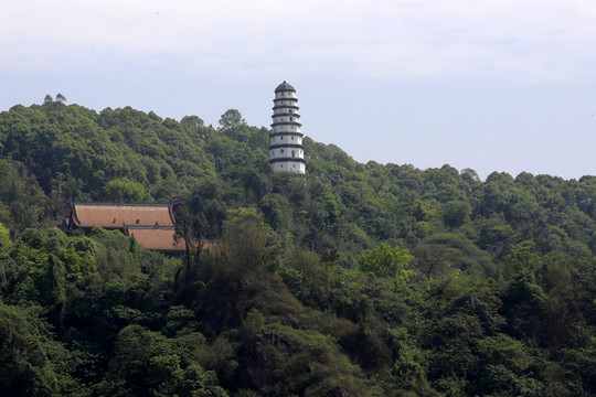 宜賓 寶塔 青山 山林 寺廟