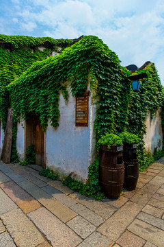 烏鎮(zhèn)