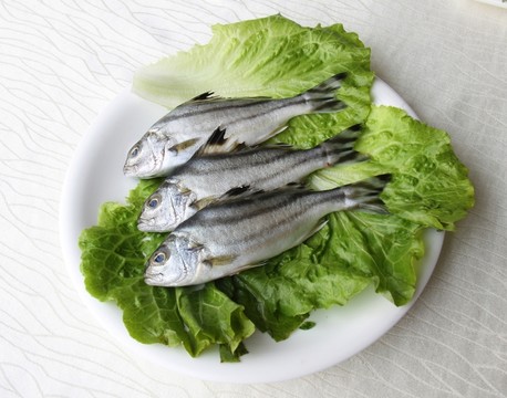班豬魚