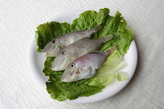 長敵仔