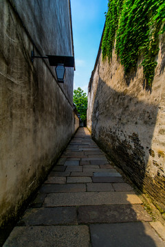 烏鎮(zhèn)