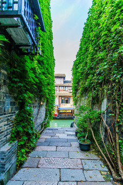 烏鎮(zhèn)