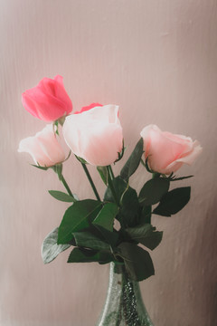 玫瑰花