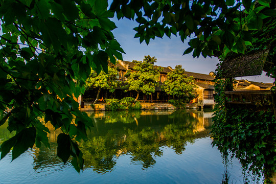 烏鎮(zhèn)