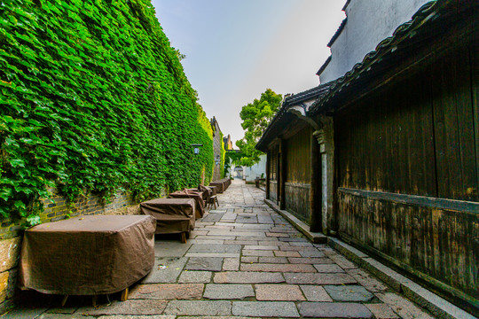 烏鎮(zhèn)
