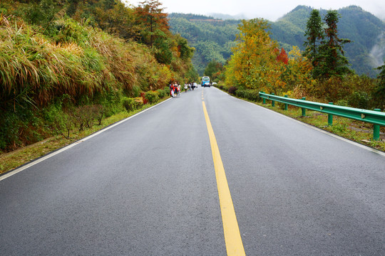 公路 柏油路 景區(qū)道路