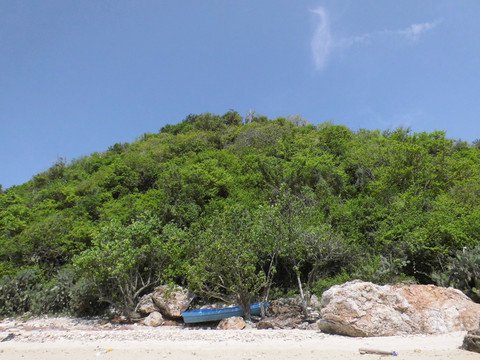 金沙島