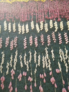 農(nóng)作物墻
