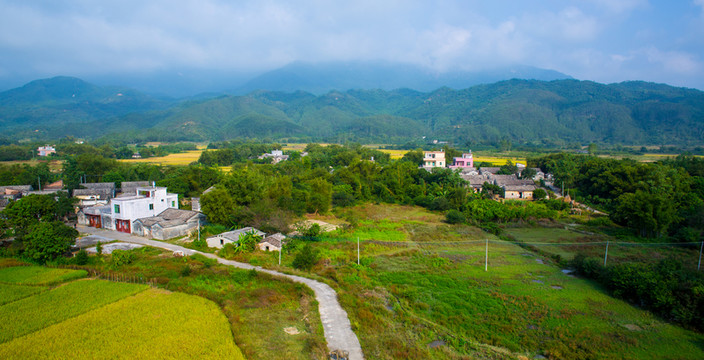 稻田 田野 鄉(xiāng)村 村莊