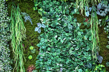 綠色植物