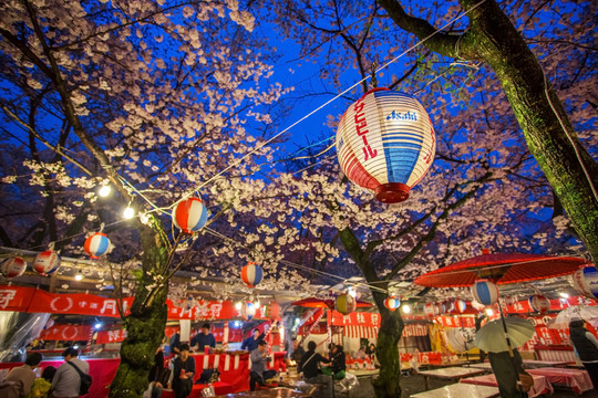 京都櫻花樹(shù)下的平野神社廟會(huì)