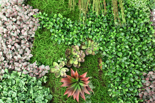 綠色植物墻 綠植 植物墻 花卉