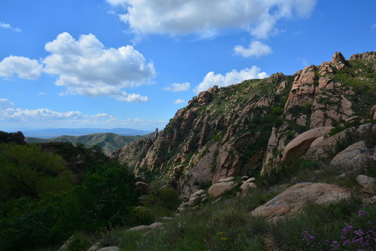 鴿子山