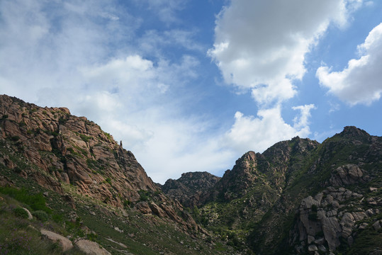 鴿子山