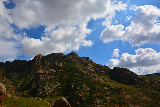 鴿子山