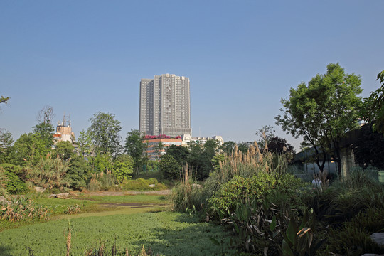 城市濕地