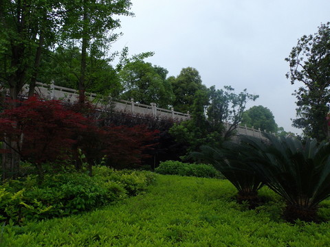 河邊綠化帶
