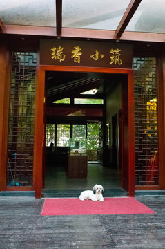 坐著小狗的茶室門口