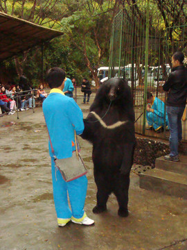 動物園馴獸師