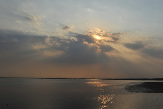 七里海濕地