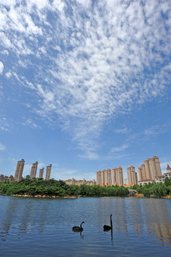 秦皇島