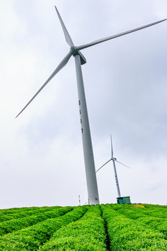 風(fēng)機(jī) 風(fēng)力發(fā)電
