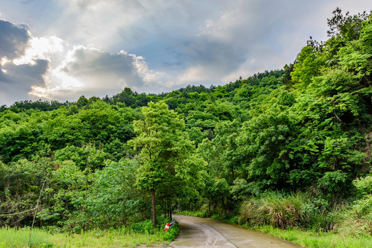 盤山公路
