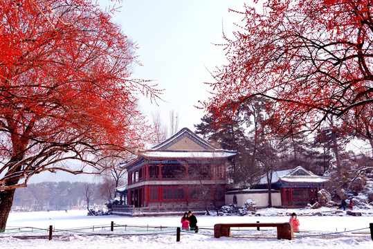 雪中煙雨樓