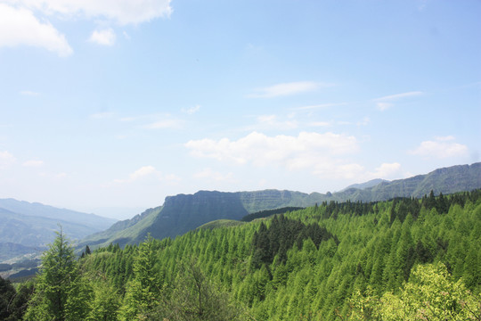 金佛山風(fēng)景