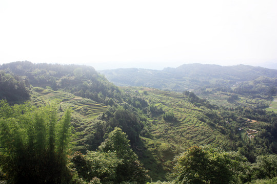 綦江橫山風(fēng)光