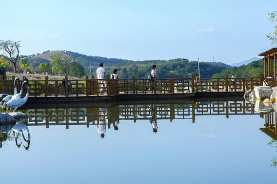公園 木橋