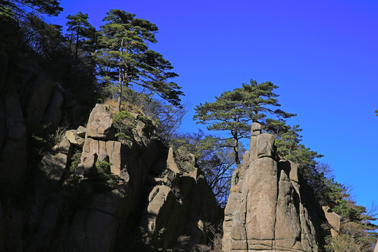 黃山風光