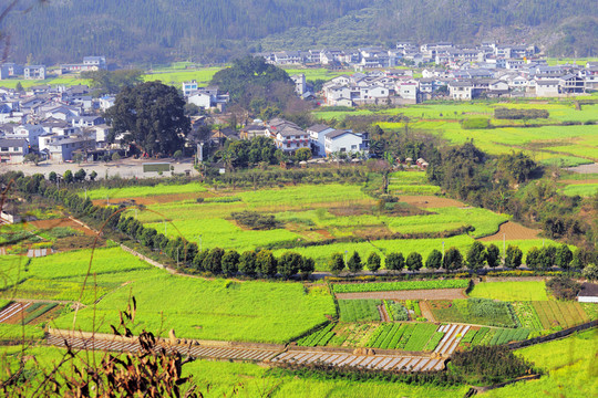 萬(wàn)峰林