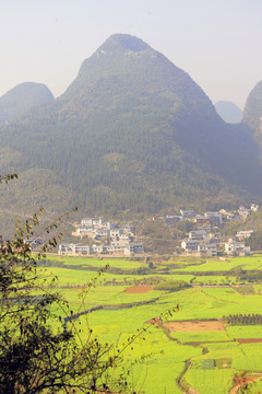 萬峰林