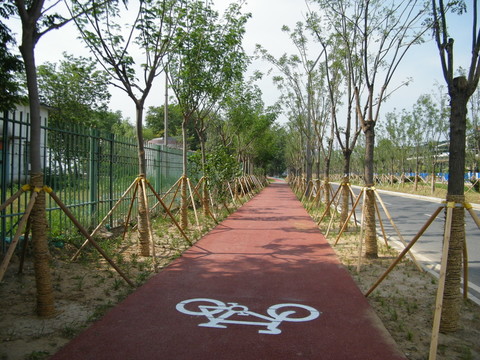 自行車道 步行道