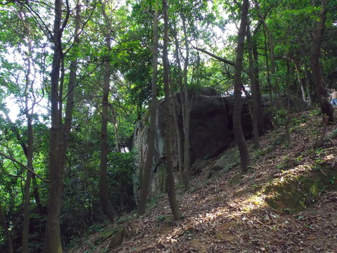 山間巨石
