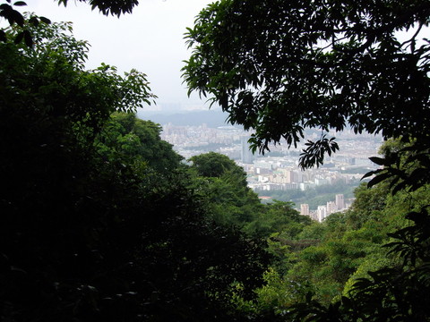 山中風(fēng)景