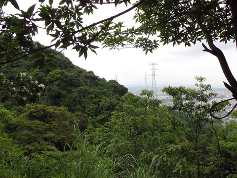 青山綠海