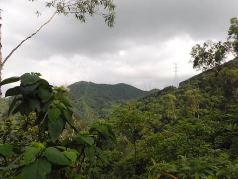 羊臺(tái)山風(fēng)光